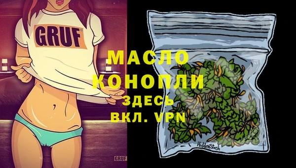 стаф Губаха