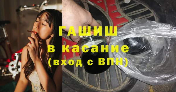 стаф Губаха