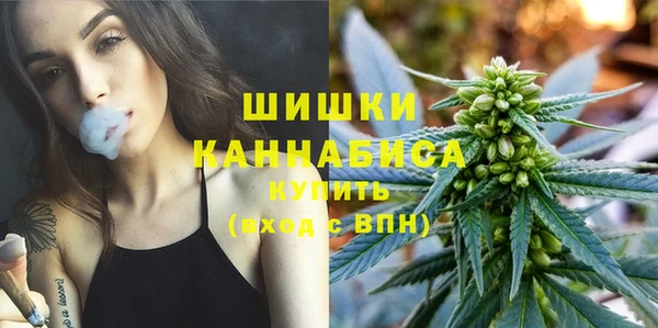 ПСИЛОЦИБИНОВЫЕ ГРИБЫ Новокубанск